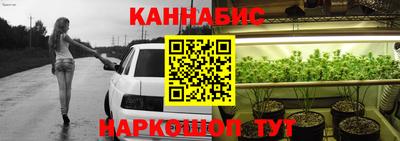 прущие крисы Будённовск