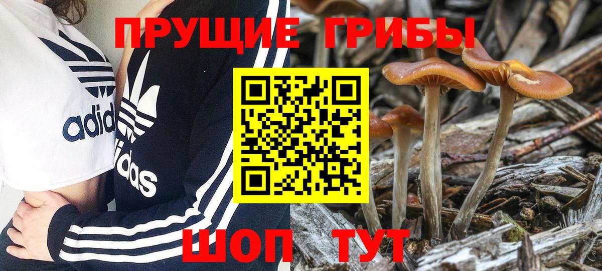 Псилоцибиновые грибы ЛСД  Вход с VPN  Искитим 